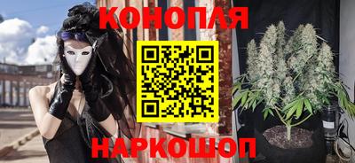 трава Новодвинск