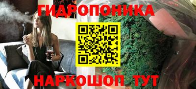 трава Новодвинск