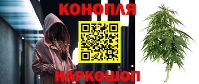 хмурый Новокубанск